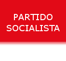 Partido Socialista - Formação